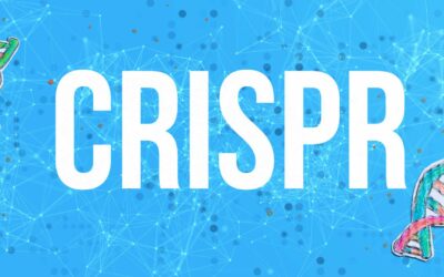 Les défis éthiques de l’édition génétique CRISPR assistée par ordinateur